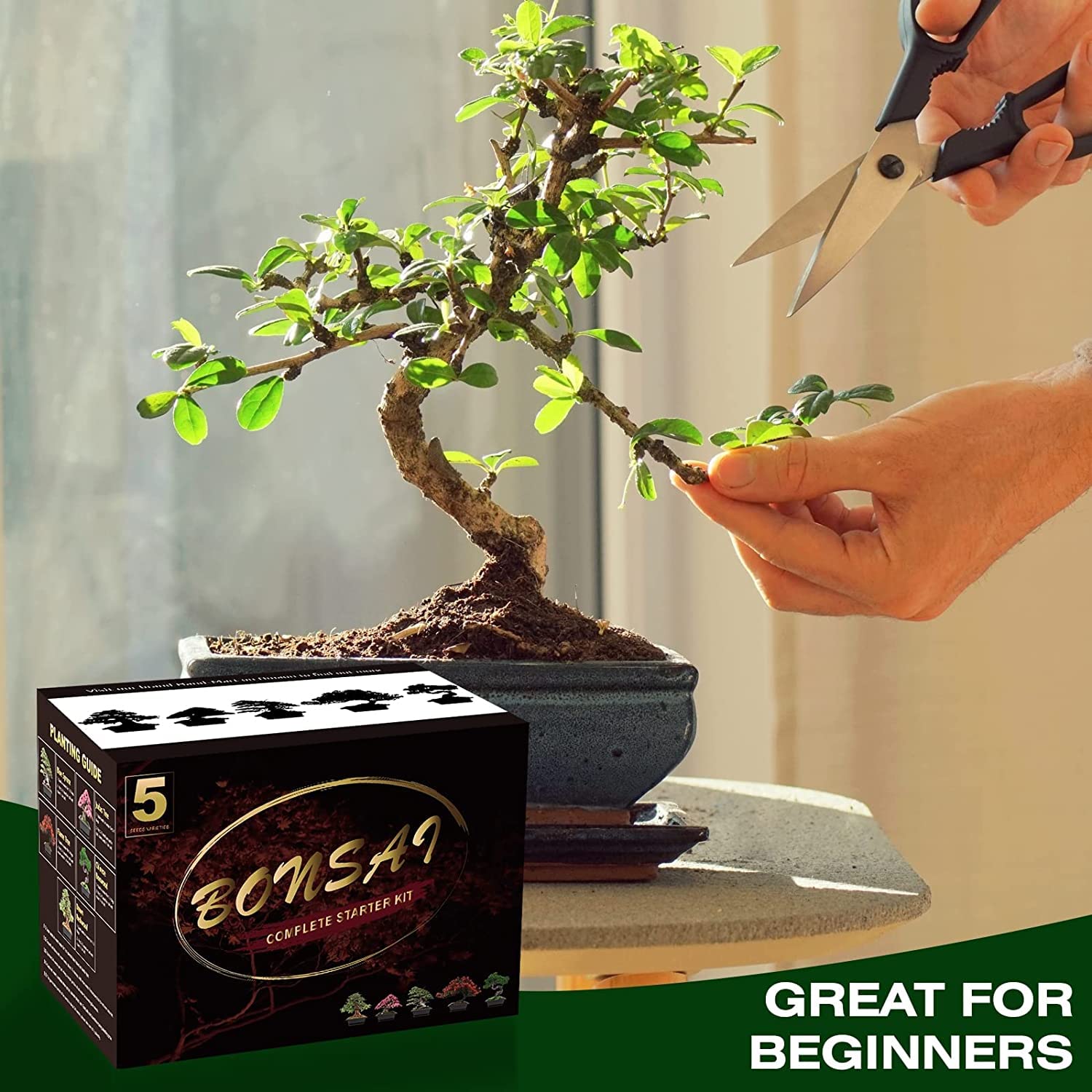 Meekear Bonsai Kit water bottle for consistent moisture