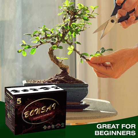 Meekear Bonsai Kit water bottle for consistent moisture