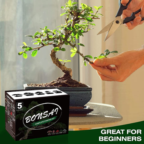 Meekear bonsai-kit-water-bottle: compact watering companion for seedlings