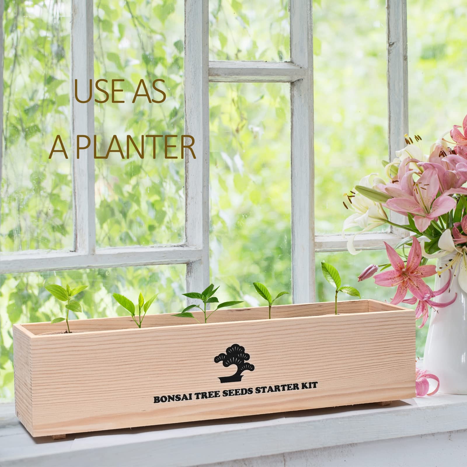 Meekear bonsai pruner offers clean cuts for healthy growth and shaping