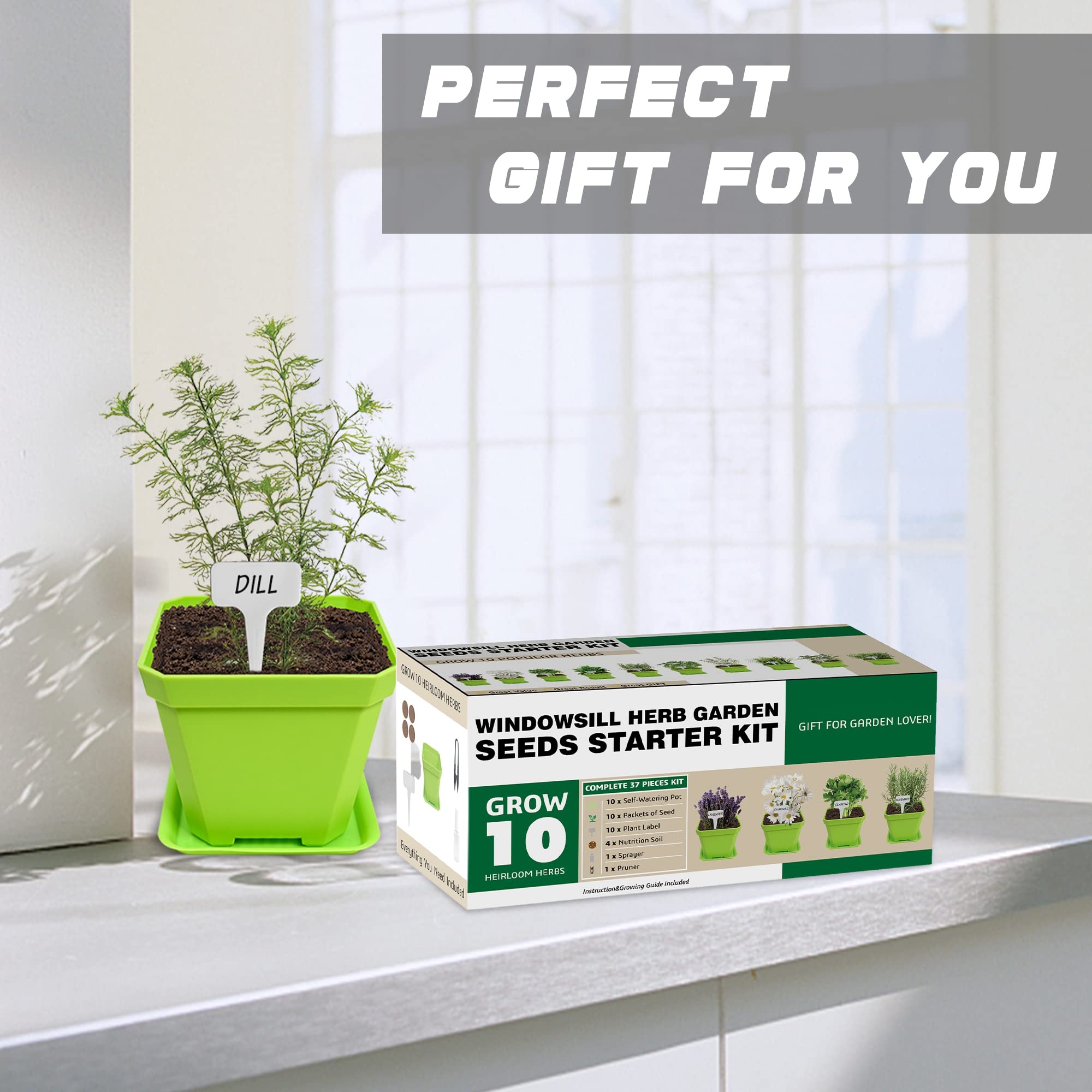Meekear growing guide included for beginner indoor herb care