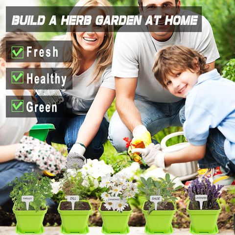 Meekear self-watering pots with drip trays supporting easy care
