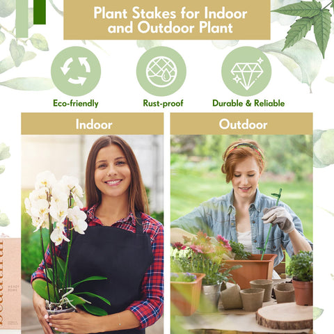 Meekoo single-stem rose garden stake supports upright growth.