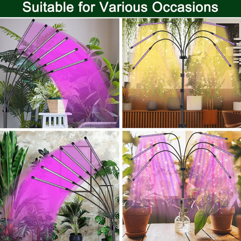 Mefflypee rotating head allows 360-degree light direction for precise placement.