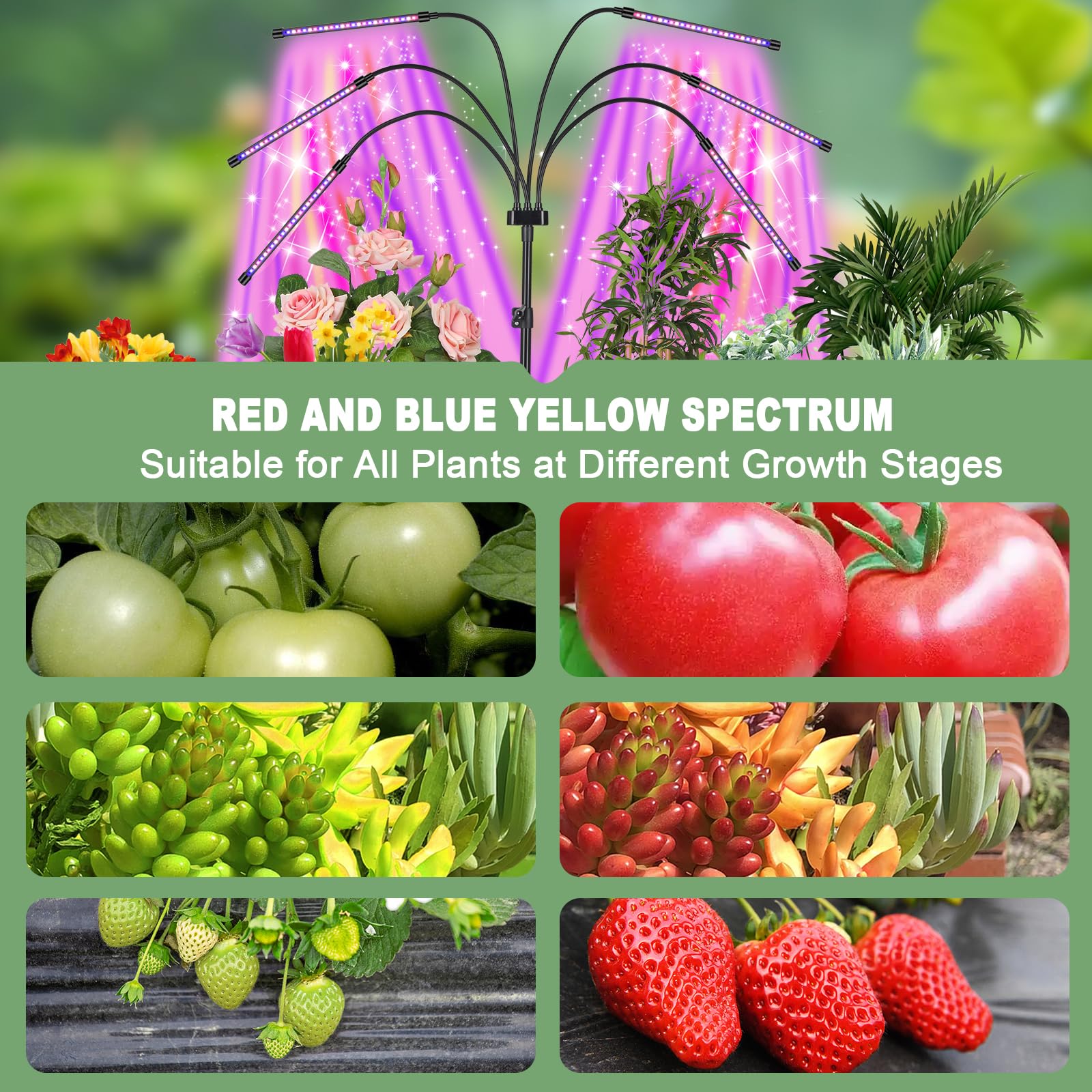Mefflypee full spectrum lamp delivering red blue and yellow light for versatile care.