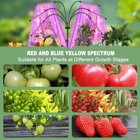 Mefflypee full spectrum lamp delivering red blue and yellow light for versatile care.