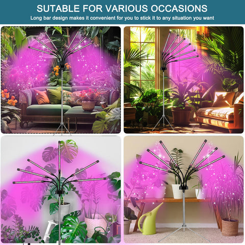 Mefflypee indoor lighting supports germination and growth of plants.