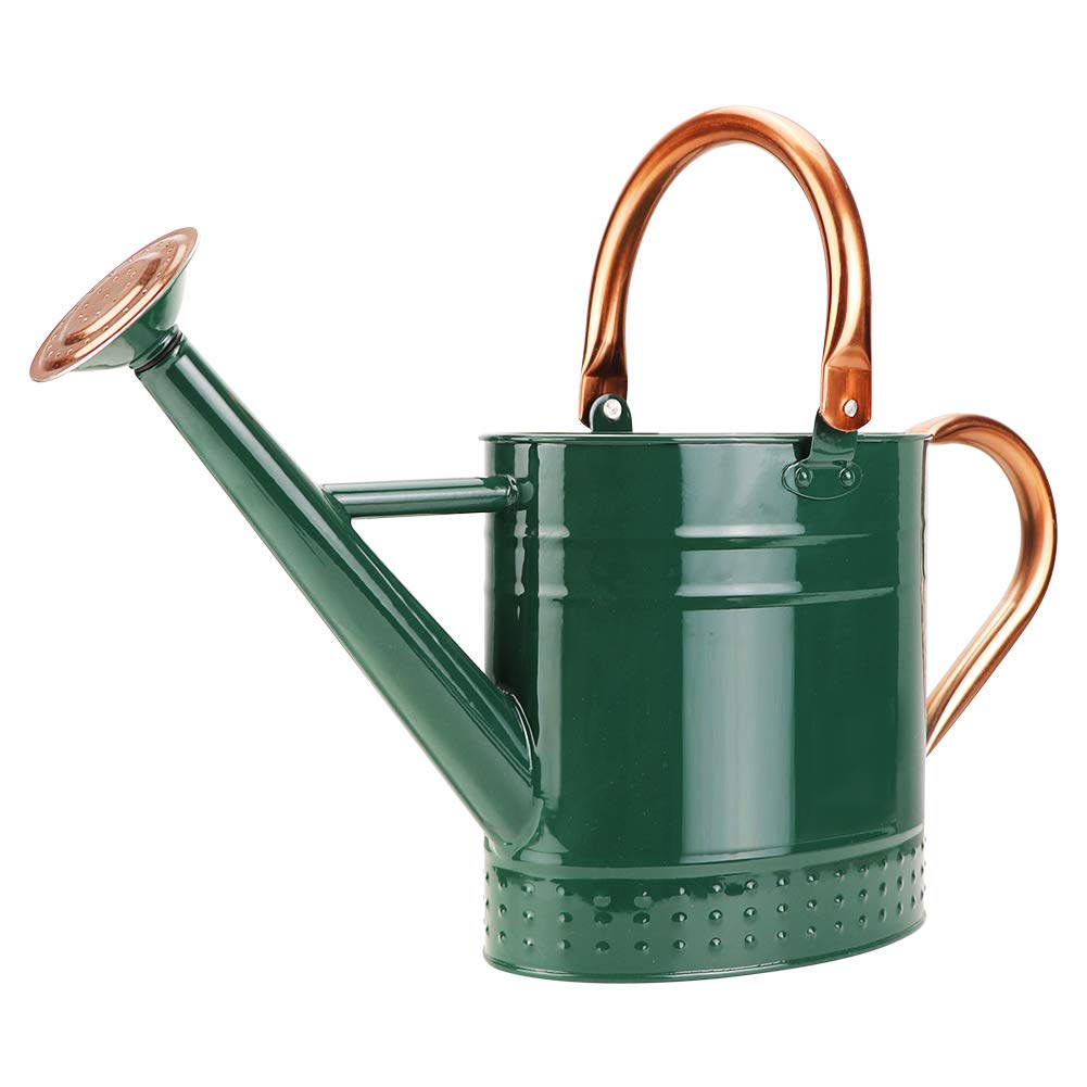 Megawodar 1 gallon watering can with embossed design for indoor plant care