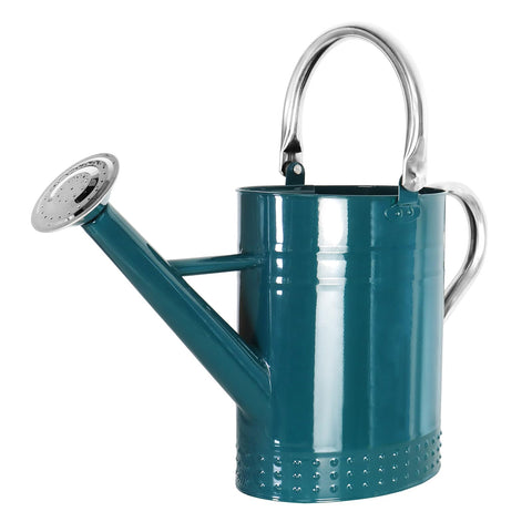 Megawodar 1 gallon watering can with removable spout for indoor and outdoor use