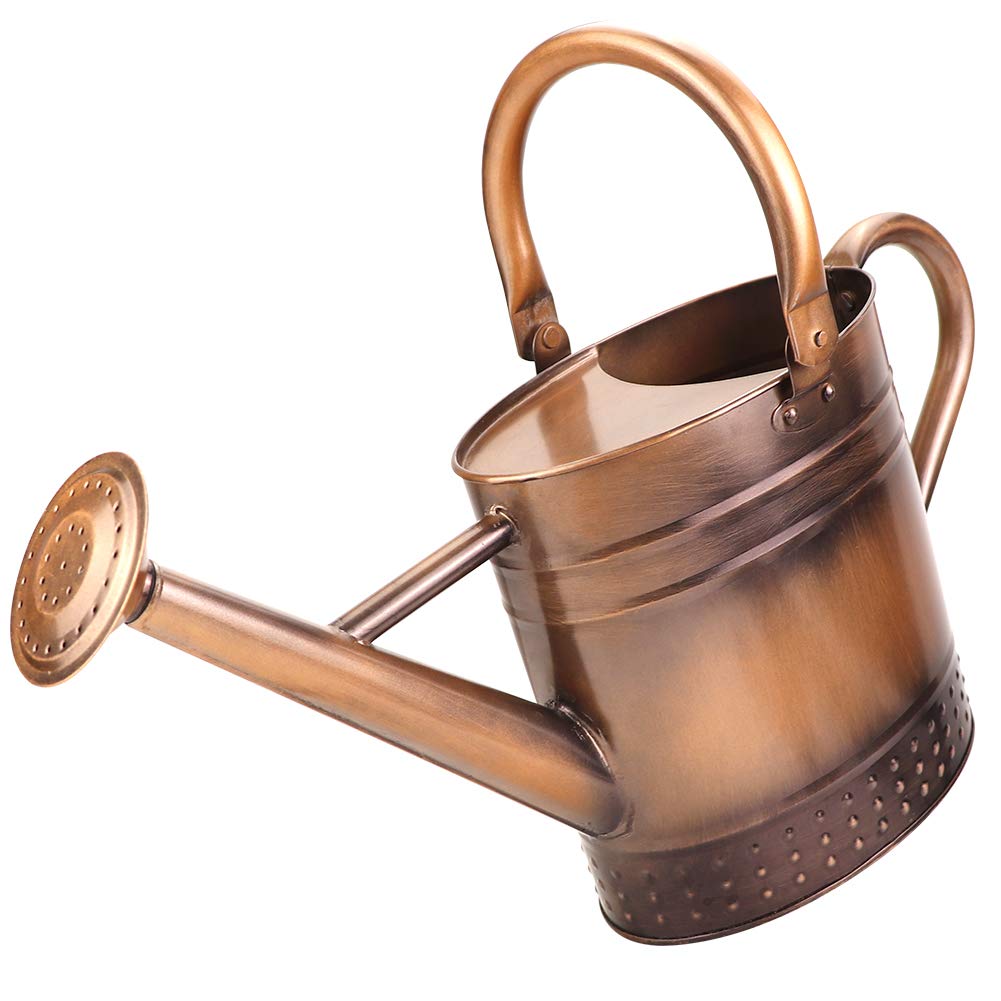 Megawodar 1 gallon metal watering can with removable spout for precise indoor watering