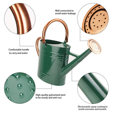 Megawodar removable spout for precise watering of small pots