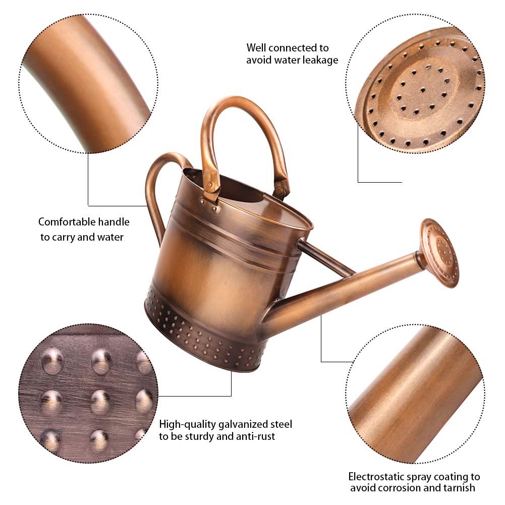Megawodar removable spout enables targeted pours for delicate plants and seedlings