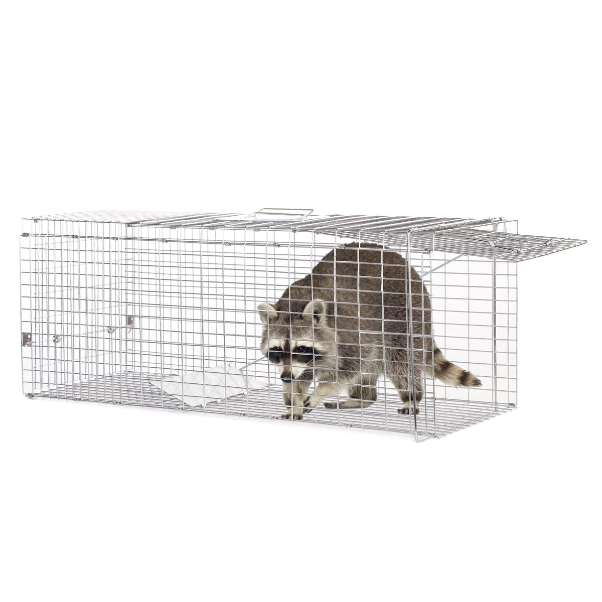 Meibangzz animal trap with large catch area ideal for raccoons and stray cats.