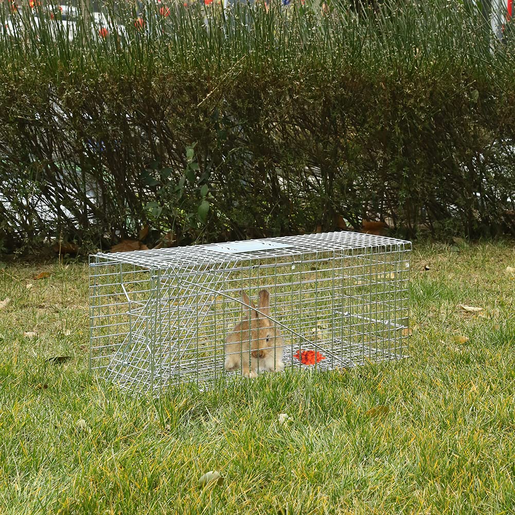 Meibangzz weather-resistant trap functioning in rain and snow