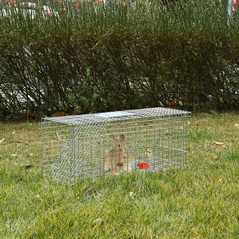 Meibangzz weather-resistant trap functioning in rain and snow