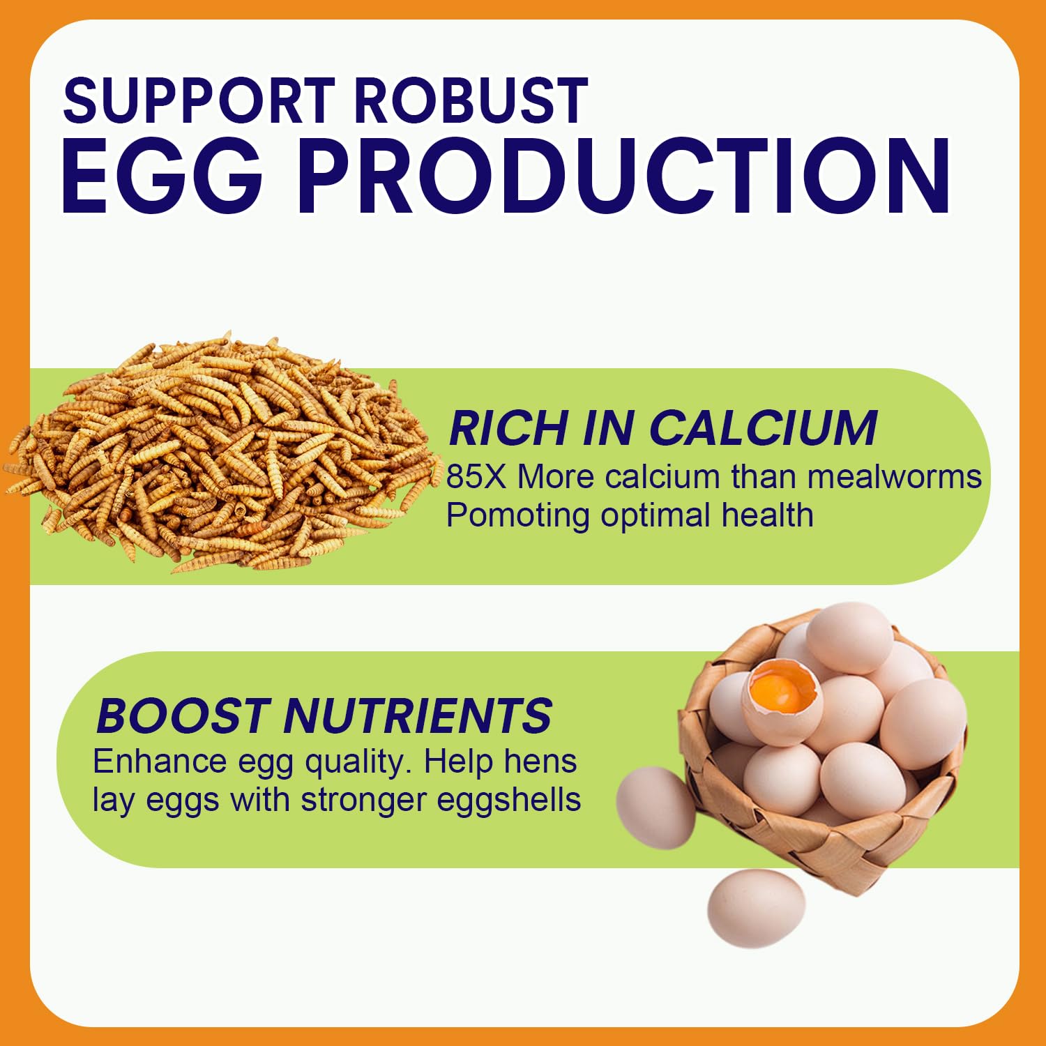 MEILLEURE BSF larvae for healthier feathers and strong egg shells.
