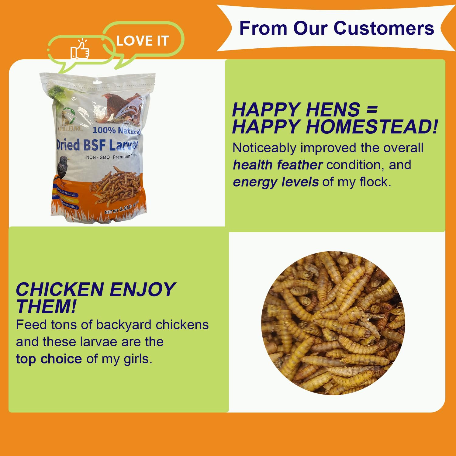 MEILLEURE BSF larvae offer a sustainable protein source for birds.