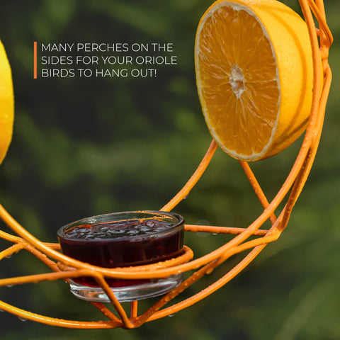 MEKKAPRO central jelly cup offers flexible feeding in a single feeder.