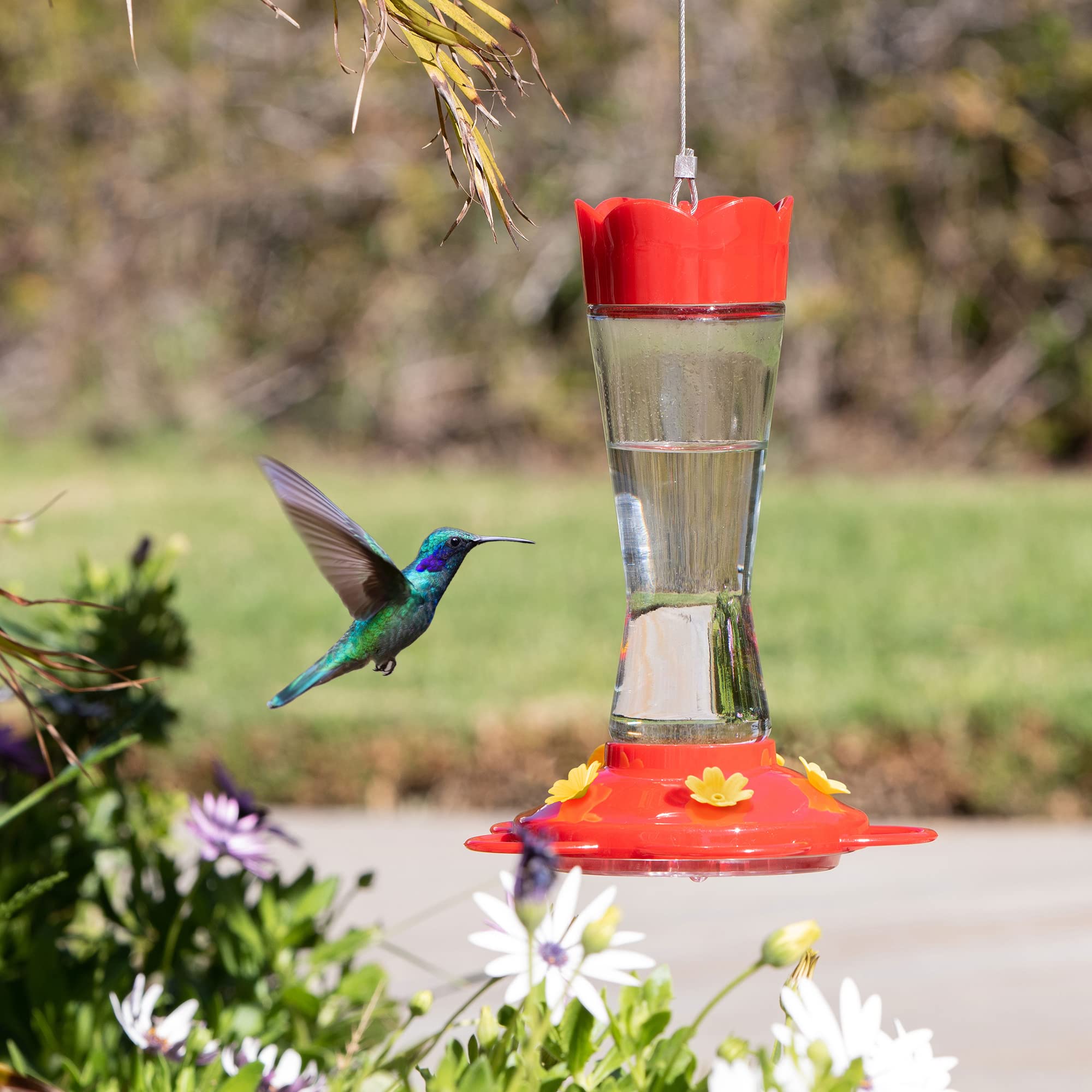 MEKKAPRO hummingbird feeder with built in ant moat keeps nectar clean
