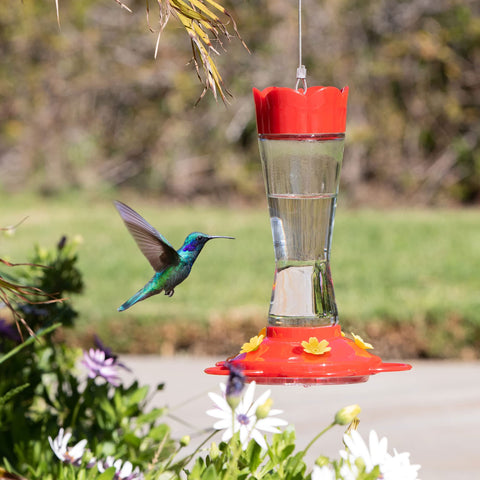 MEKKAPRO hummingbird feeder with built in ant moat keeps nectar clean