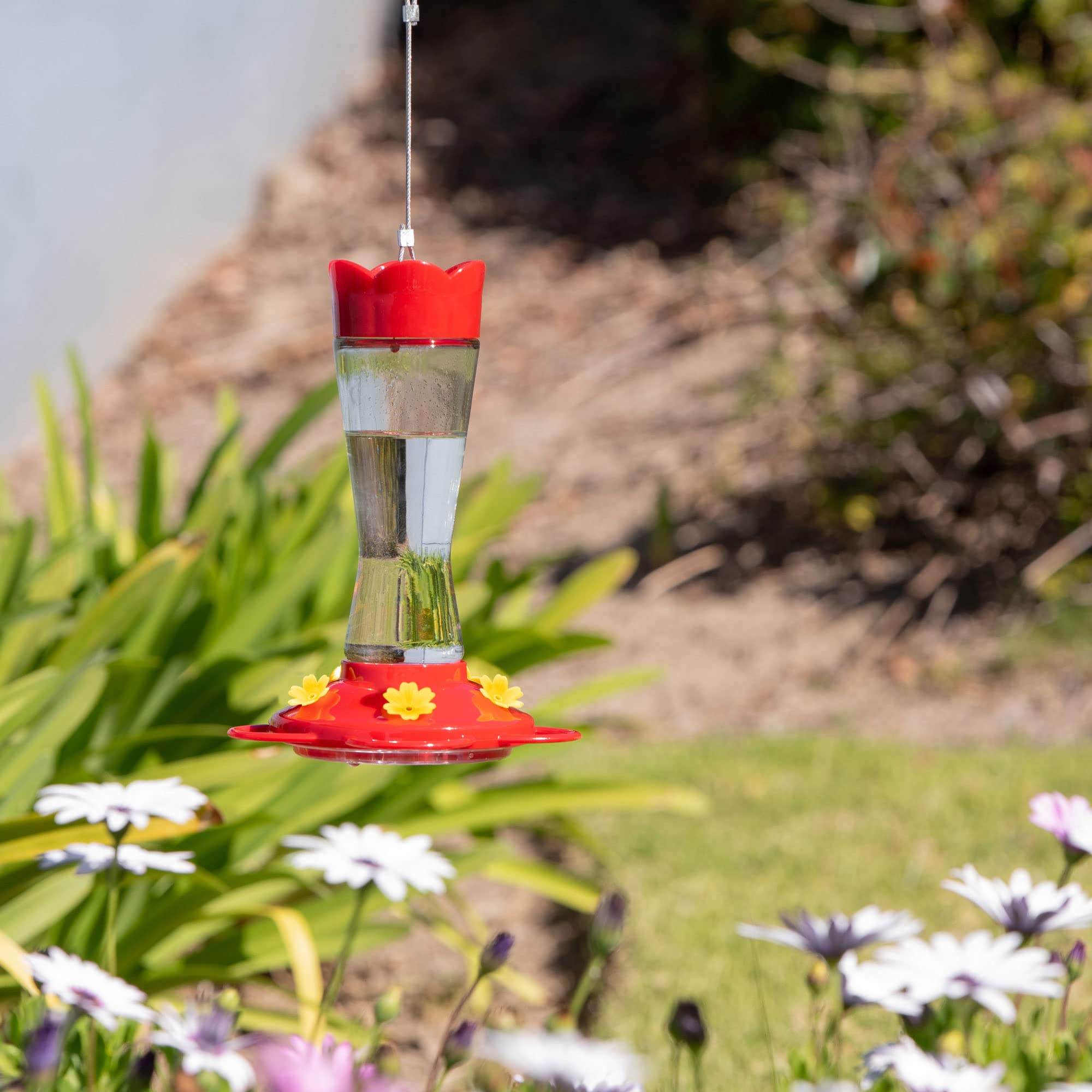 MEKKAPRO backyard hummingbird feeder enhances bird watching in your yard