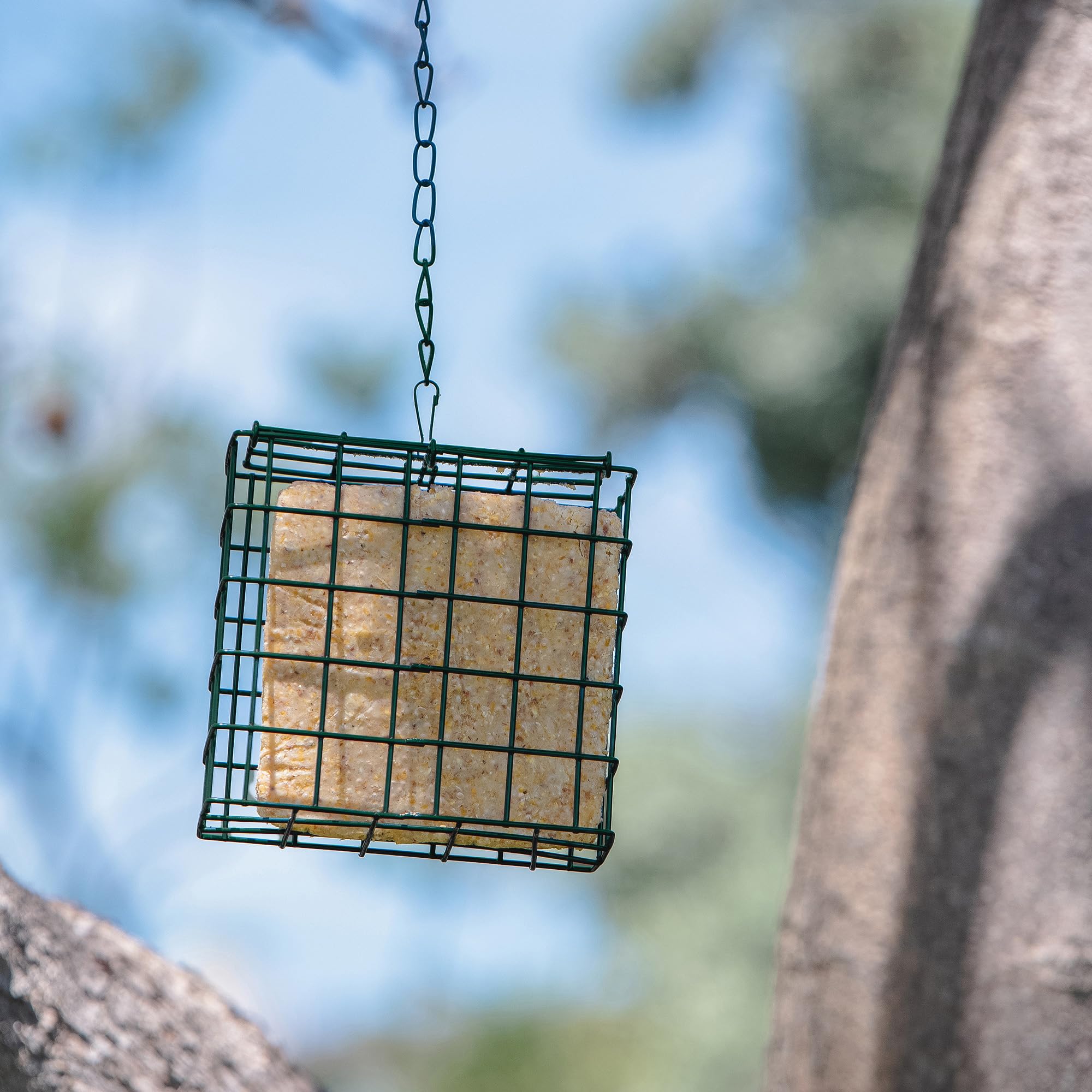 Secure hanging chain setup for MEKKAPRO suet feeders.