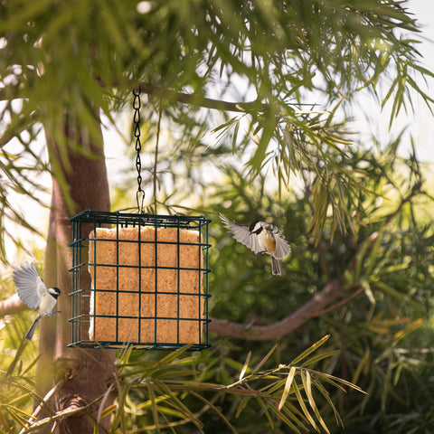 Easy-fill MEKKAPRO design with accessible feeding basket.