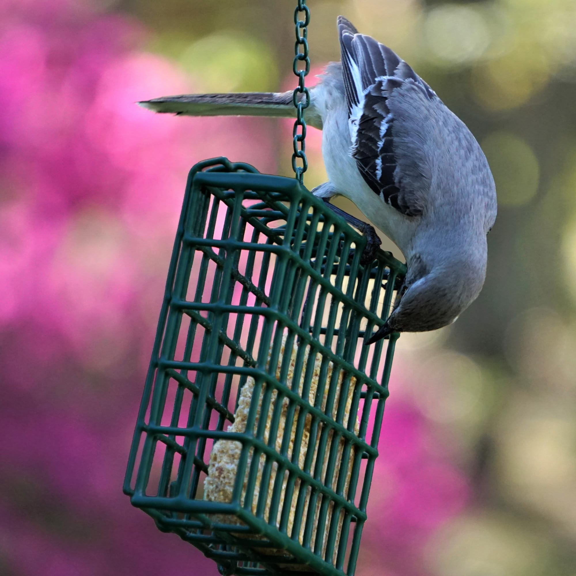 MEKKAPRO feeder showing nesting materials compatibility for spring.