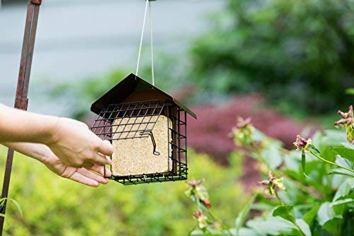 MEKKAPRO suet feeder rust-proof enclosure keeps food clean and safe.