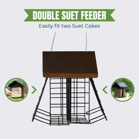 MEKKAPRO suet feeder two compartments for different foods attracting multiple birds.