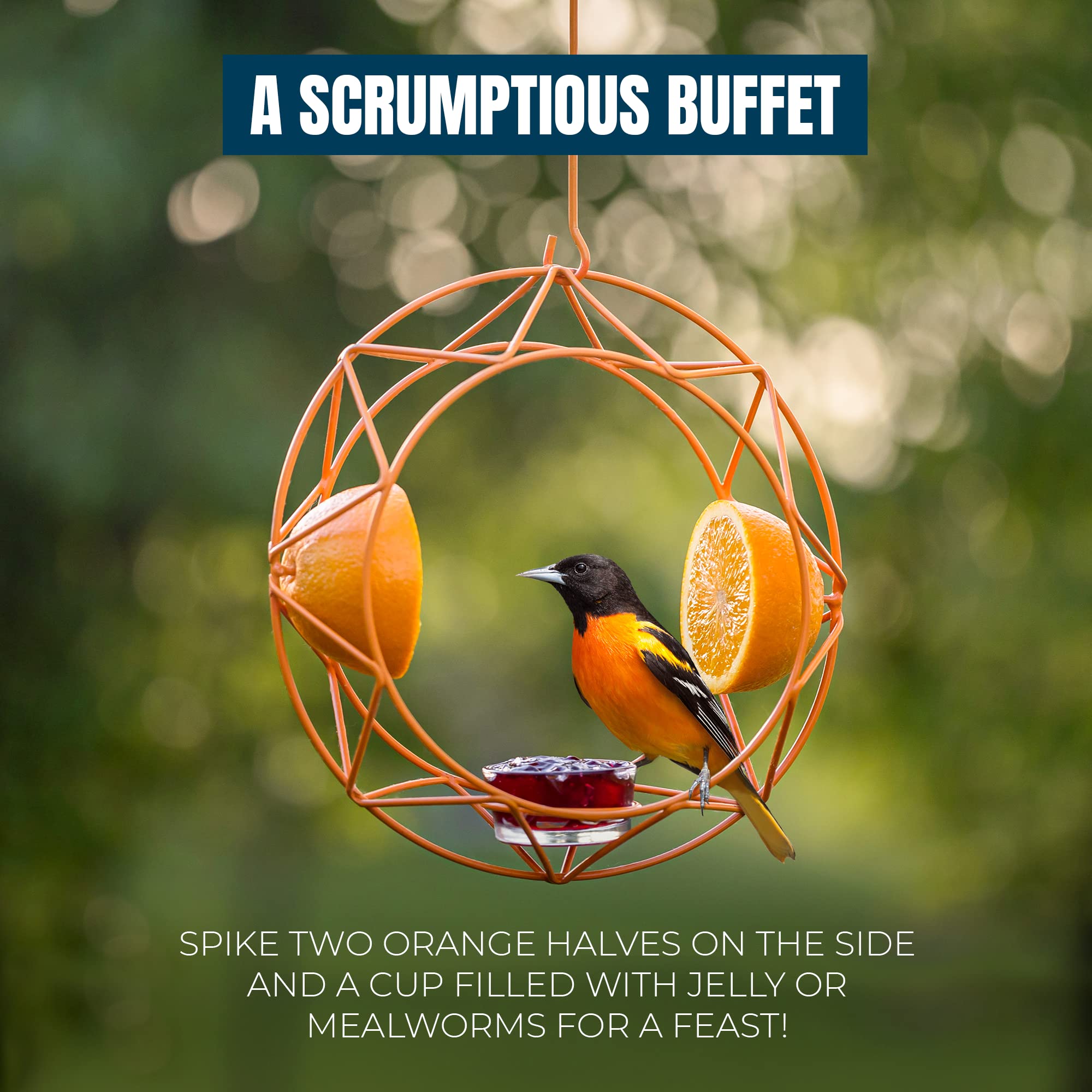 MEKKAPRO feeder with two fruit spikes provides varied dining options for songbirds.