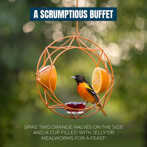MEKKAPRO feeder with two fruit spikes provides varied dining options for songbirds.