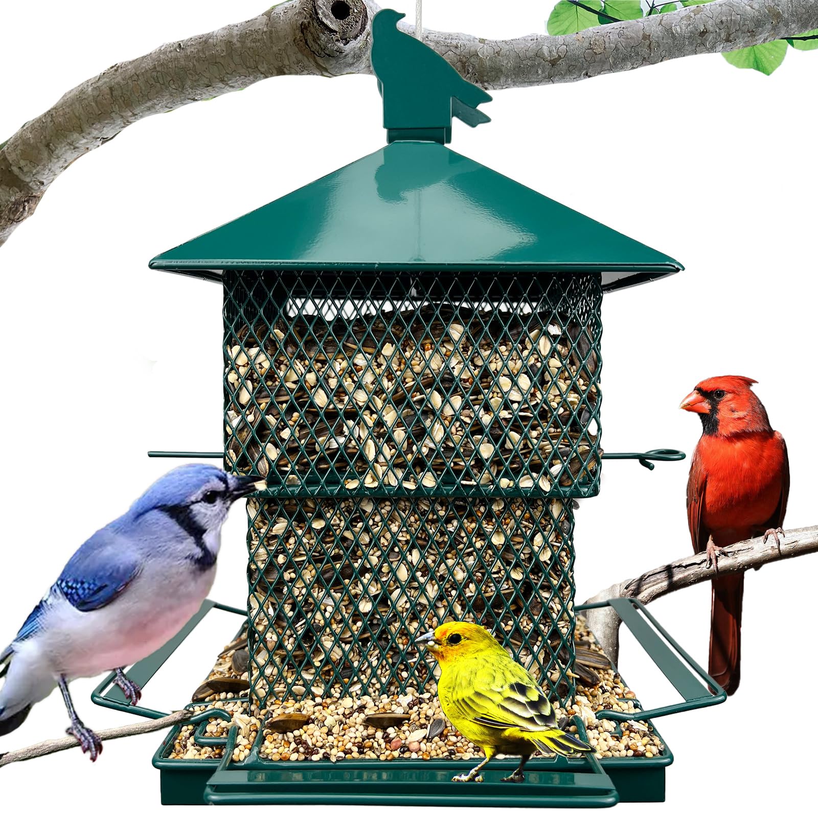 Meleave bird feeder outdoors with 6-5lb capacity for steady seed supply