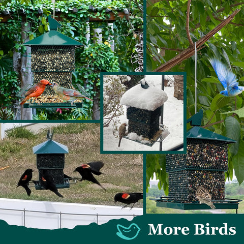 Meleave feeder features squirrel-resistant lid to deter raiders