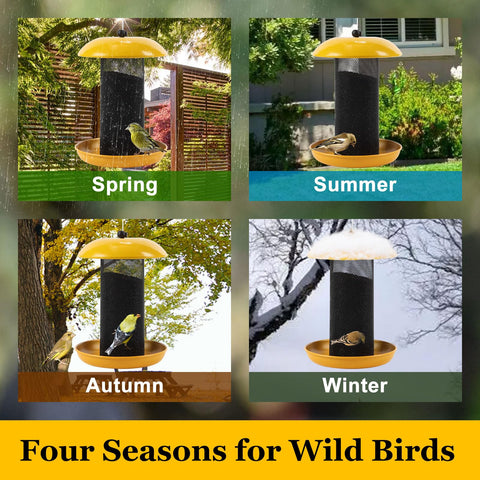 Meleave Finch Feeder supports multiple birds feeding simultaneously