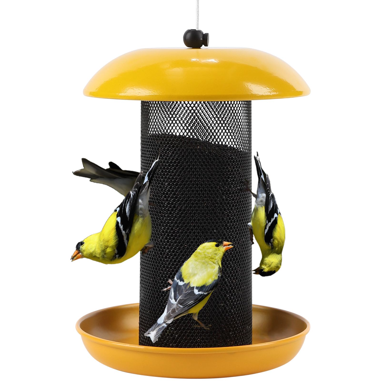 Meleave Finch Feeder outdoors with nyjer seed attracting small birds