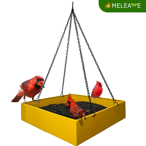 Meleave platform feeder outside: ample 3.5 lb capacity supports multiple seed types