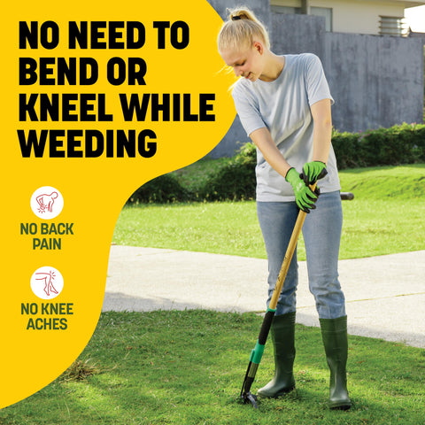 Melissa & Harry Papa's stand-up design reduces bending during garden weeding.