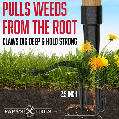Papas Tools Weeder 4-claw steel head for efficient root removal.