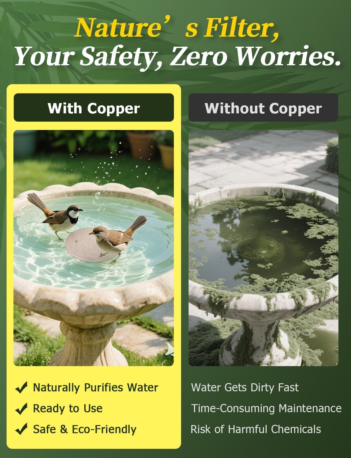 Mellbree Copper Disc in a plastic bird bath for easy upkeep.