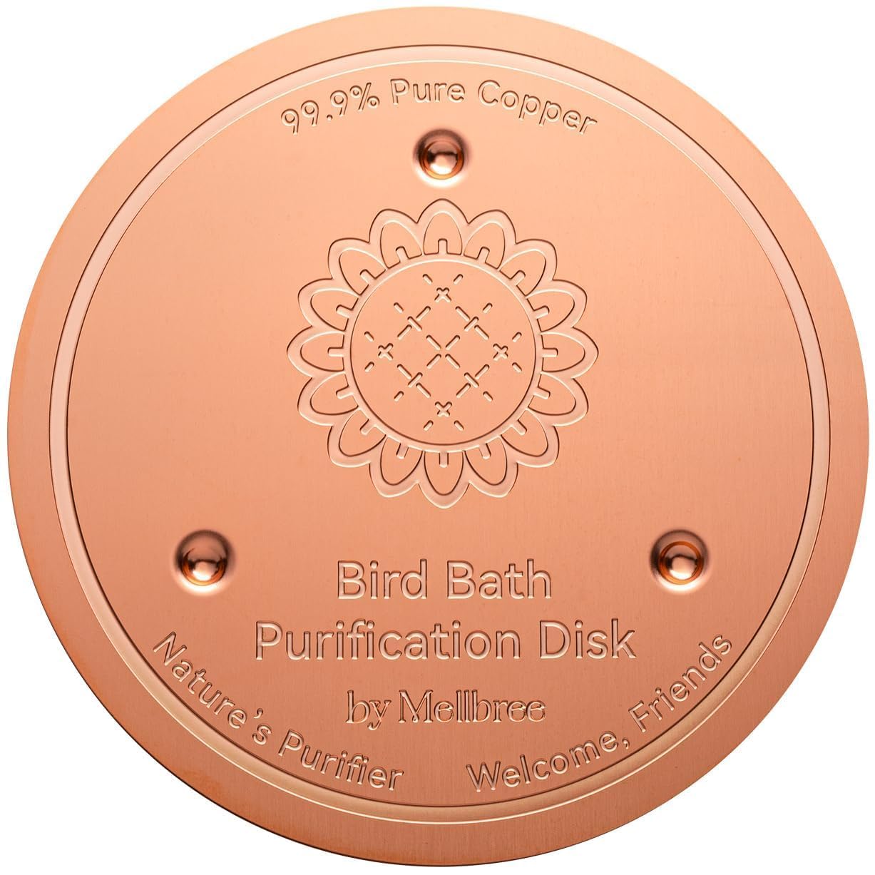 Mellbree Bird Bath Copper Disc resting in a stone basin for clearer water.