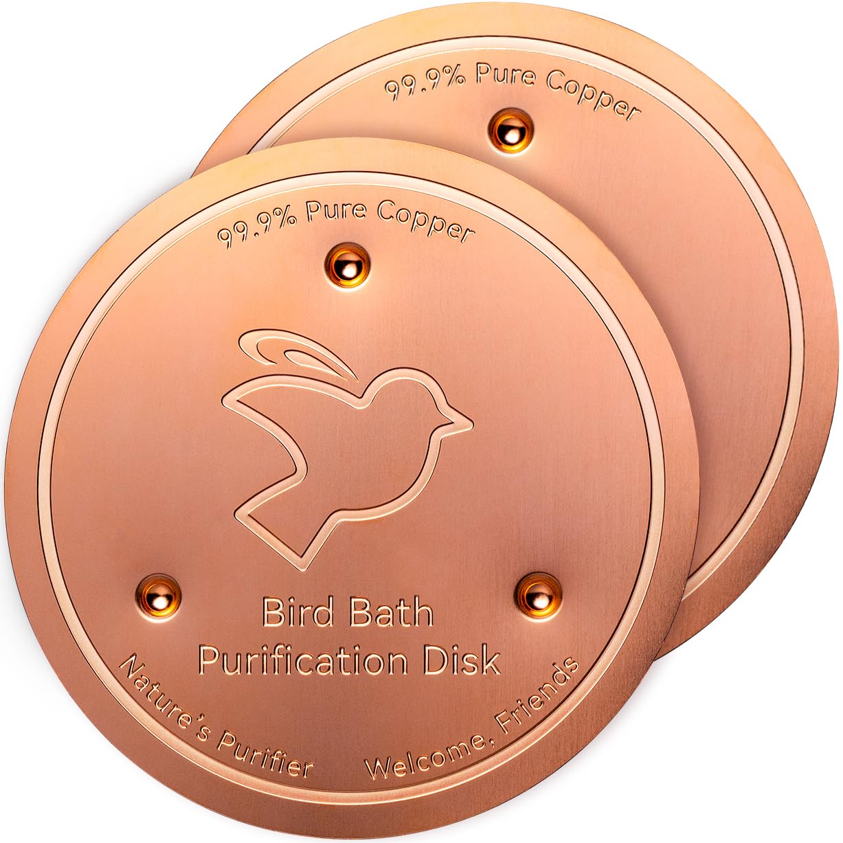 Mellbree purification disk in a bird bath front view, showcasing its copper disk design.