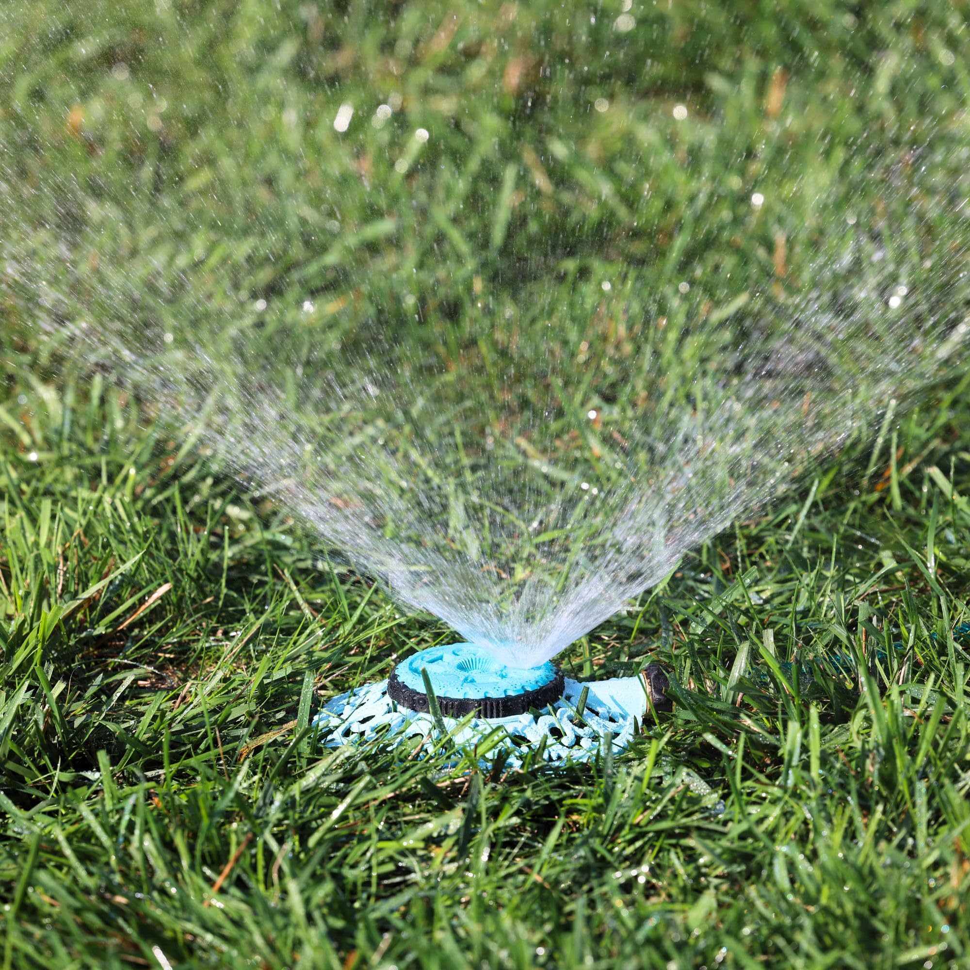 Blueberry Blue option on the Melnor Sprout for visible garden irrigation.