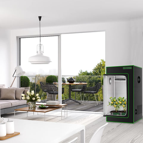 MELONFARM 4x2 grow tent indoor setup in closets or basements