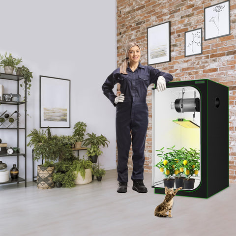 MELONFARM all-in-one kit saves time and effort for beginners