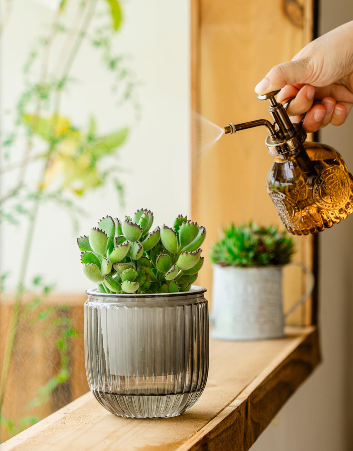 Melphoe 4.7-inch mini pot shown for small succulents.