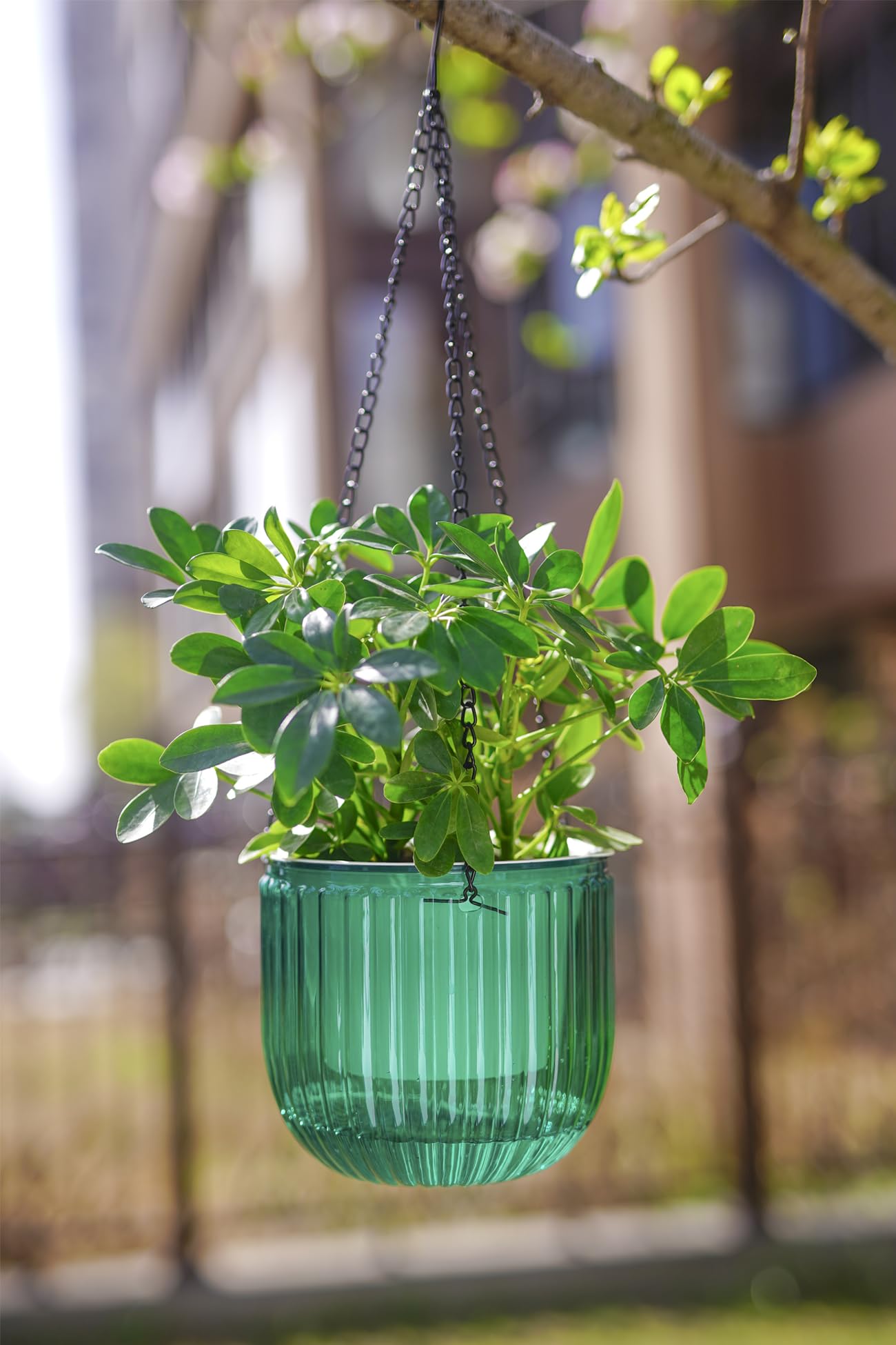 Melphoe 6.5-inch planter suitable for a variety of small to mid-size plants.