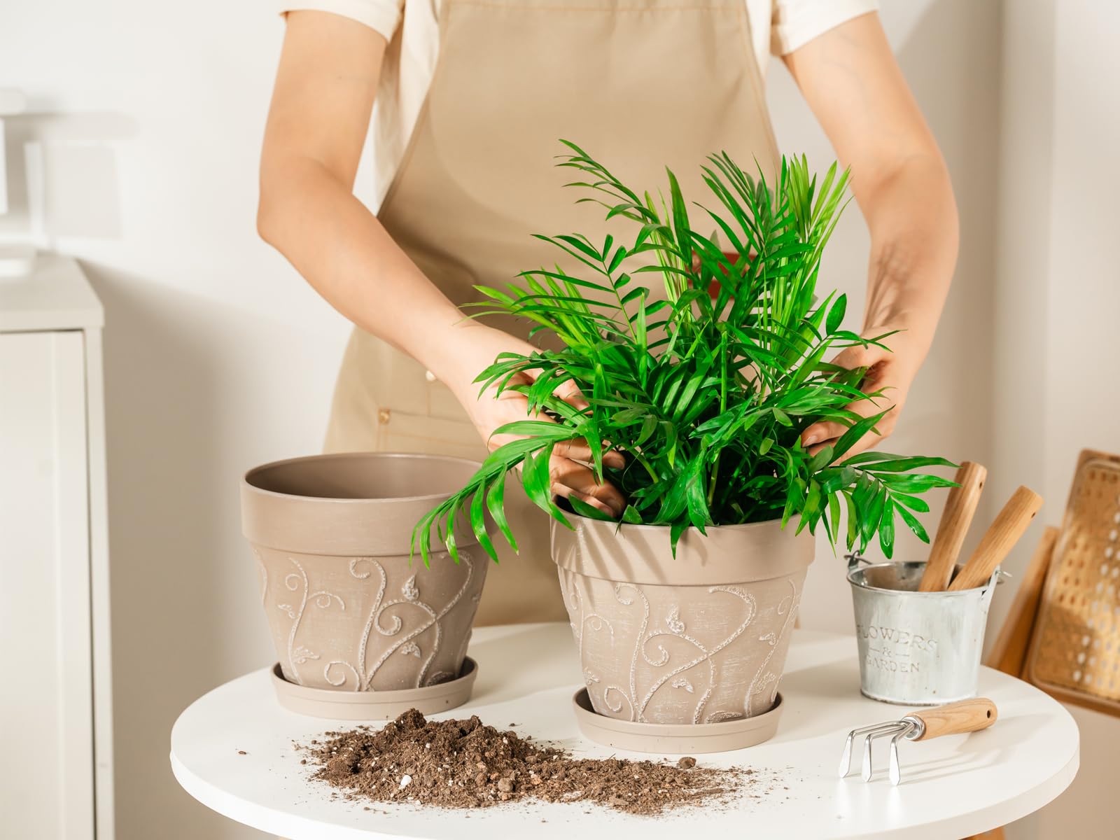 Melphoe 7-inch succulent pot, compact yet roomy for roots.