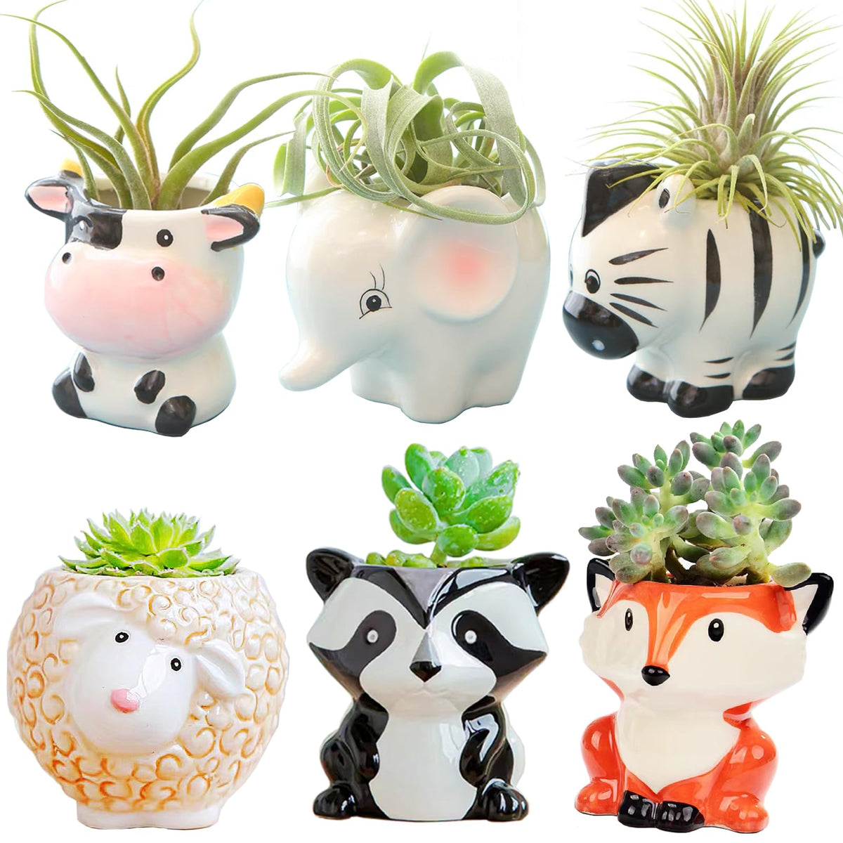 Melphoe cartoon air plant holder with a playful animal design for desk decor.