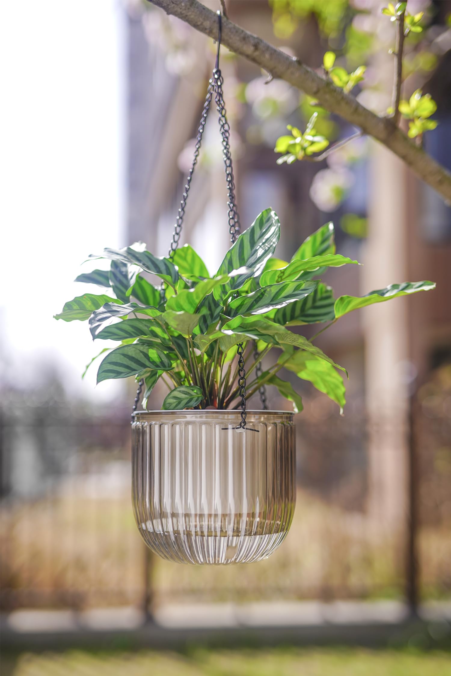 Melphoe compact self-watering pot, convenient moisture control during trips.